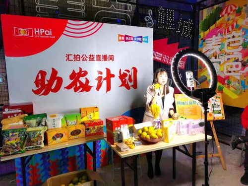 泉州微公益深耕互聯網公益 賦能網絡文化建設與互聯網文化活動的創新實踐